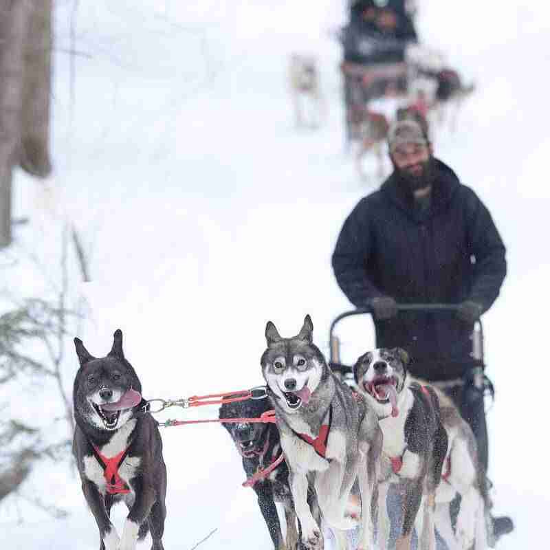 C. 2024 by Fred J. FieldTravis Mills FoundationRome, Maine